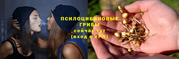 apvp Магас