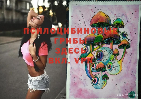 мдпв Майский