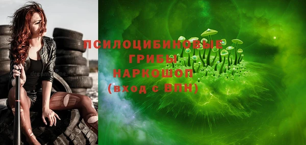 a pvp Горняк