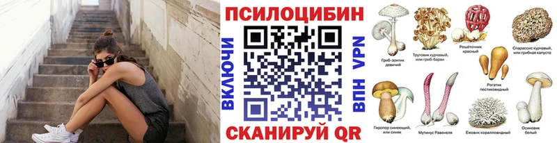 OMG маркетплейс  как найти наркотики  Данков  Псилоцибиновые грибы мицелий 